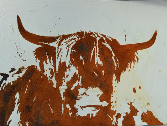 Leinwandbild ~ Galloway Rind ~  by Uwe Reuter ~  hochwertig gedruckt und handveredelt 60x80cm