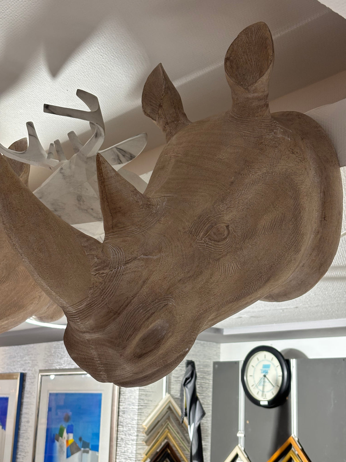 Animuro Wanddeko Nashorn