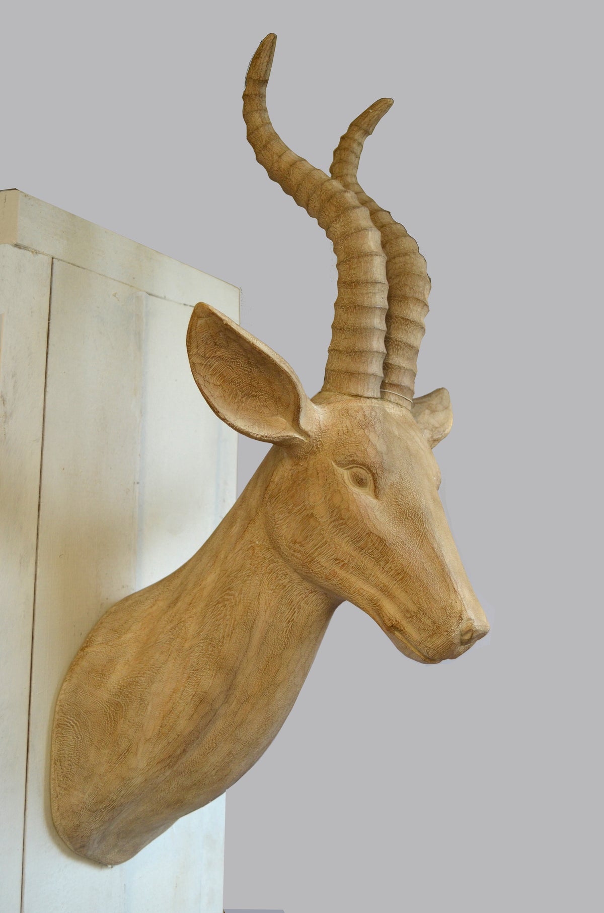 Animuro Wanddeko Antilope
