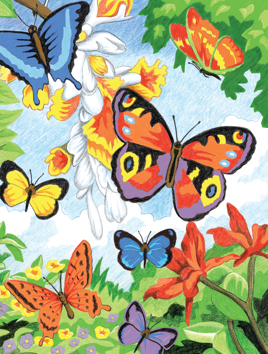 CPN Schmetterlinge