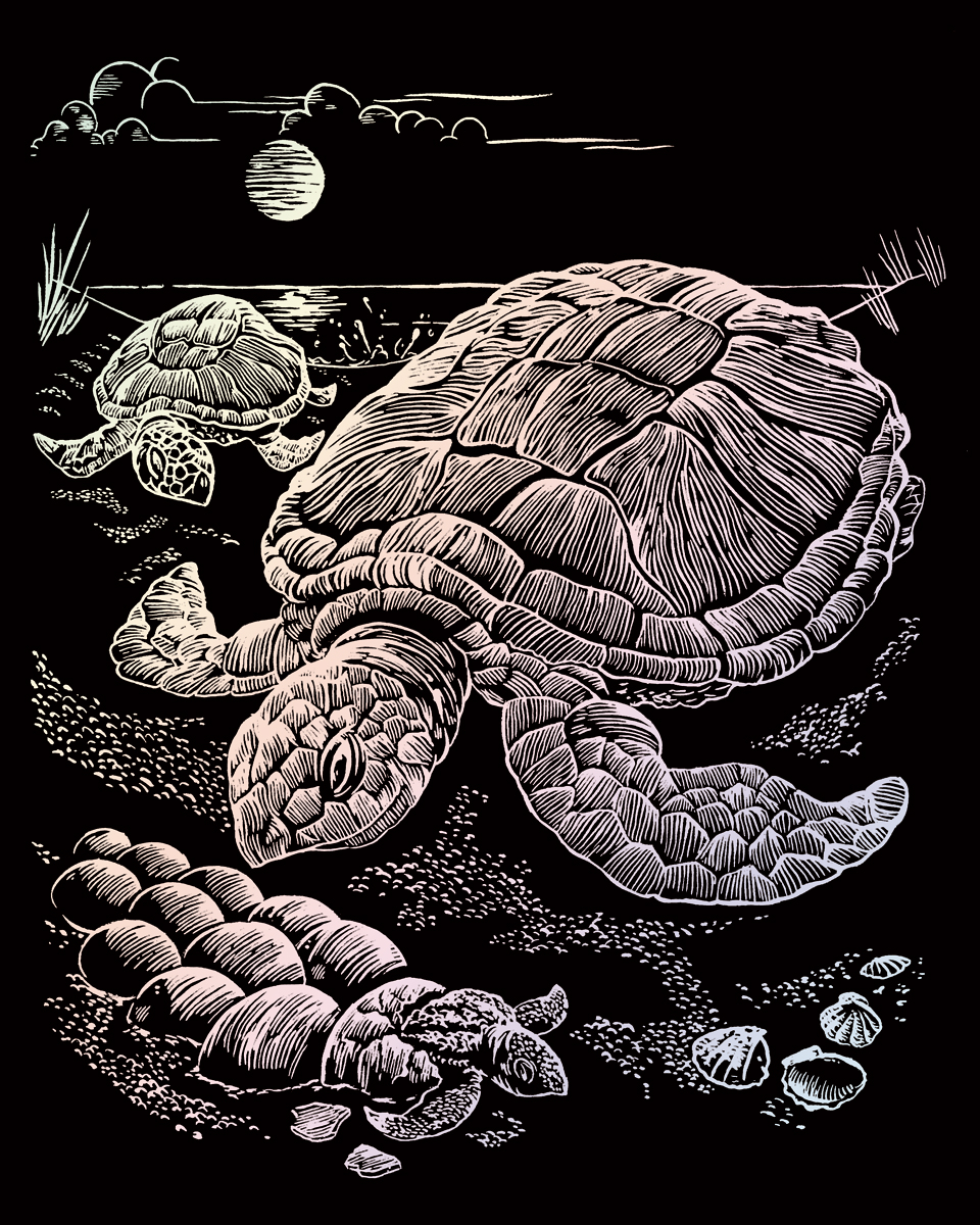 Holografie EA Meeresschildkröte
