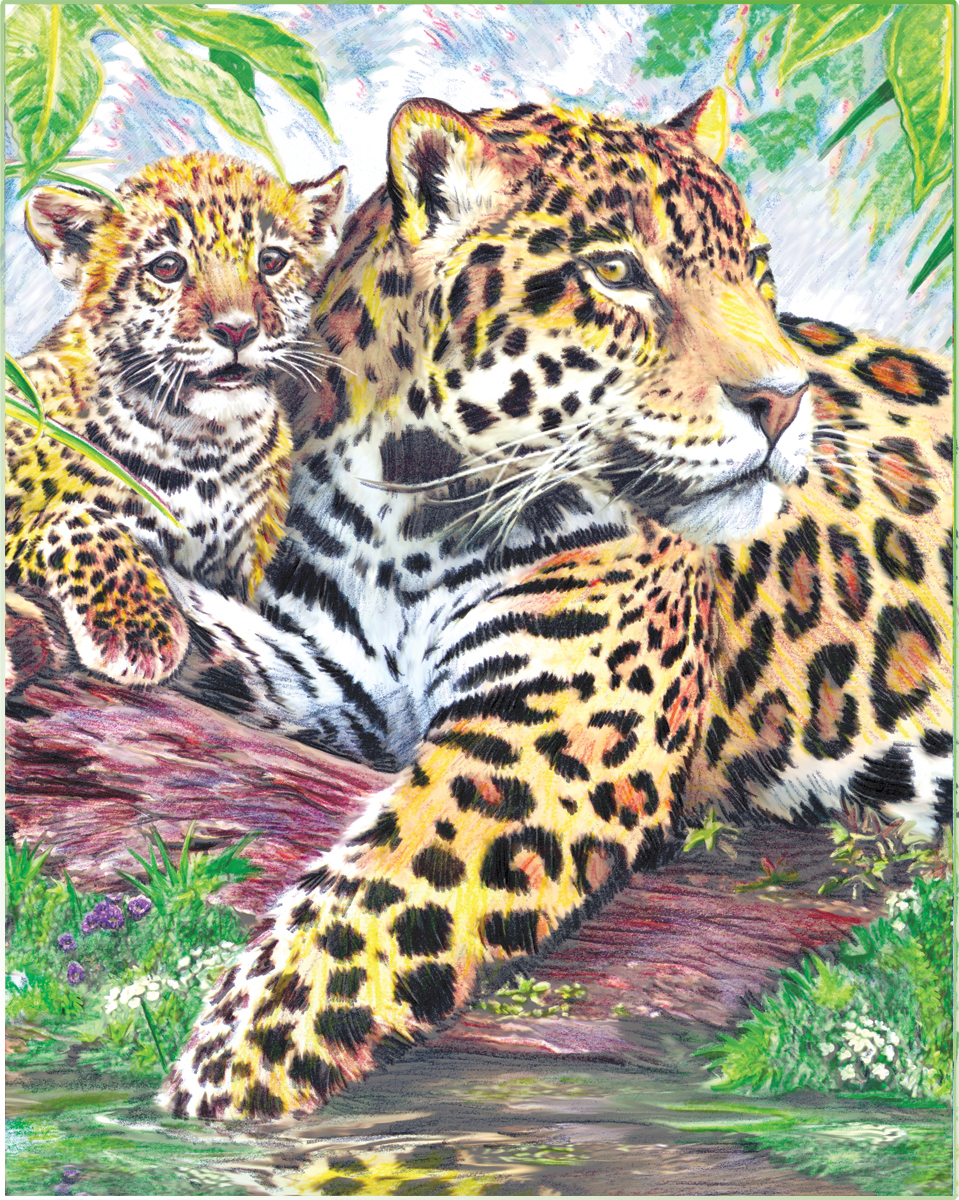 CPN Jaguar