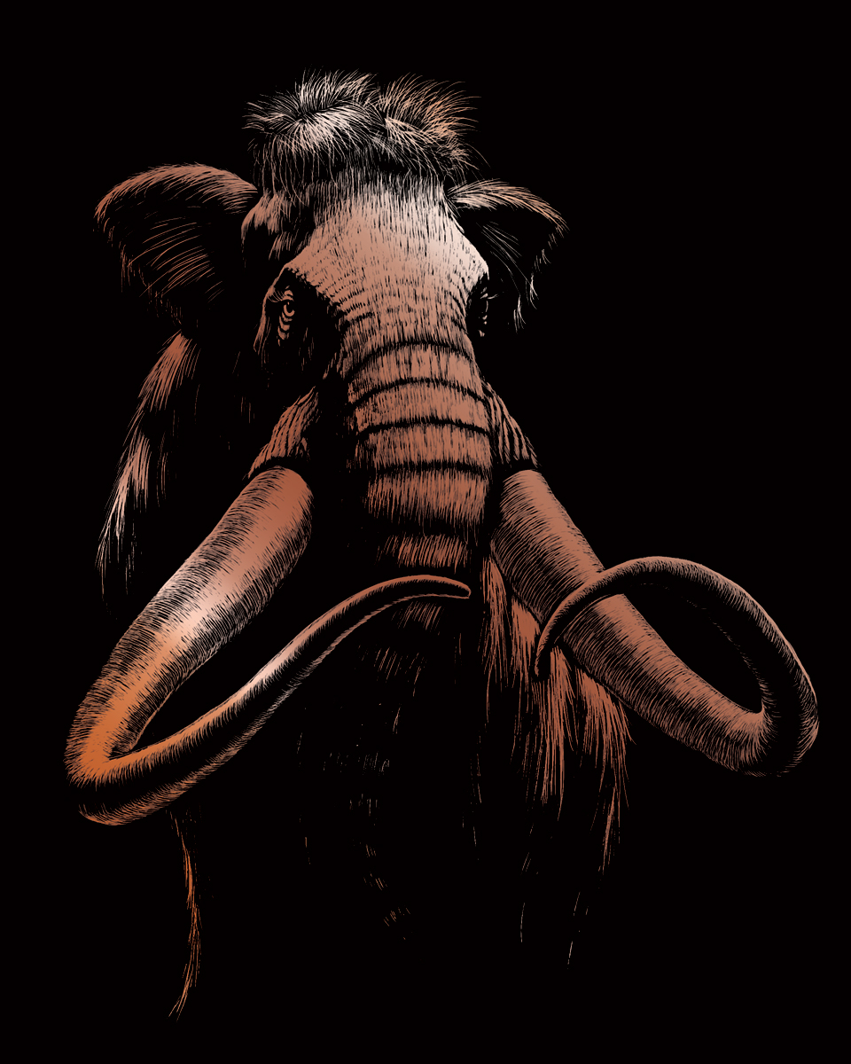 Kupfer EA Mammut